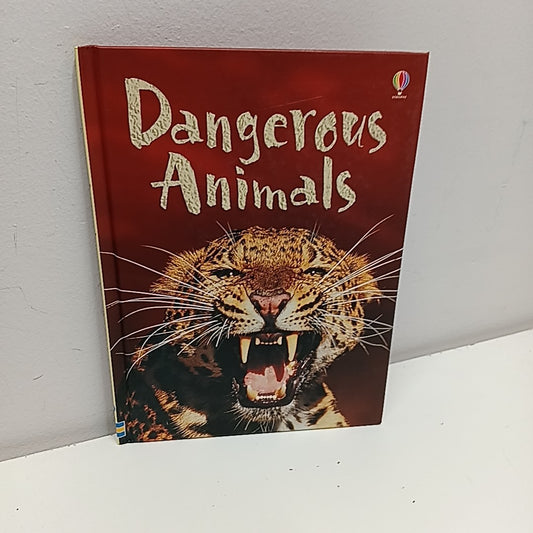 Usborne Books
