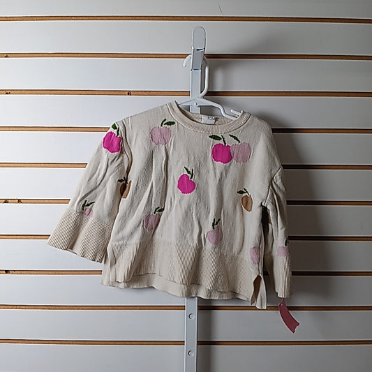 Baby Gap 3T Sweater/Sweatshirt