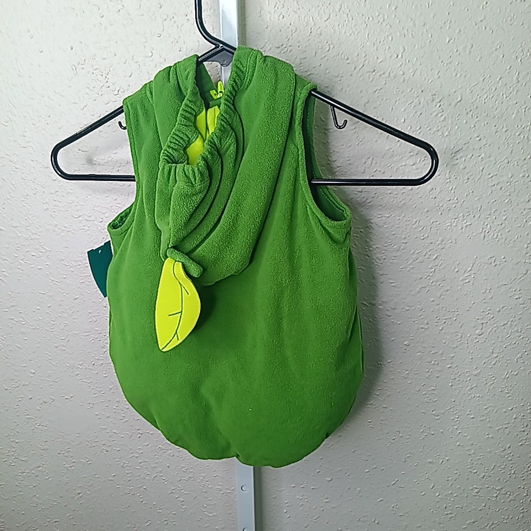 Carter's 18 Months Costume