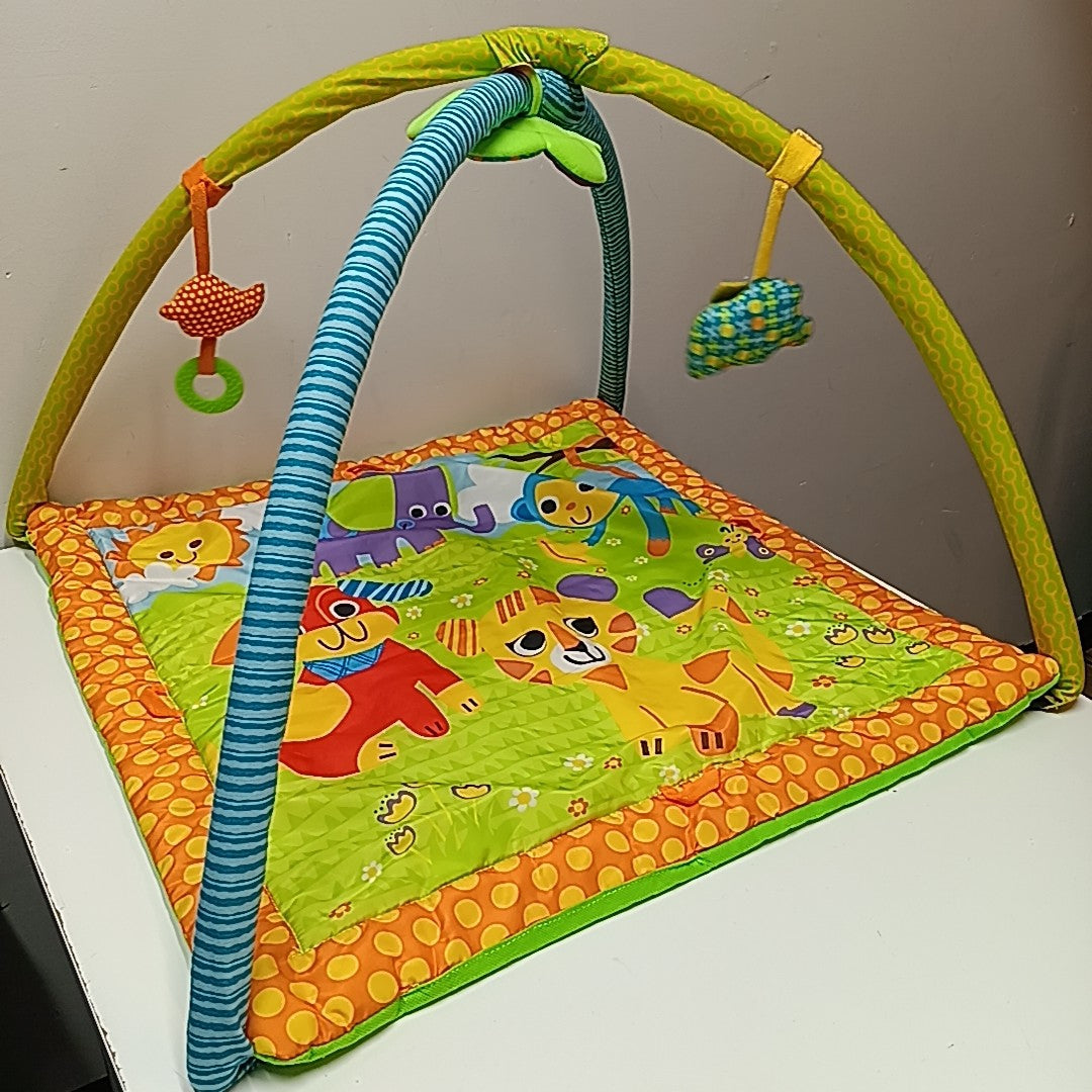 Infant Toy