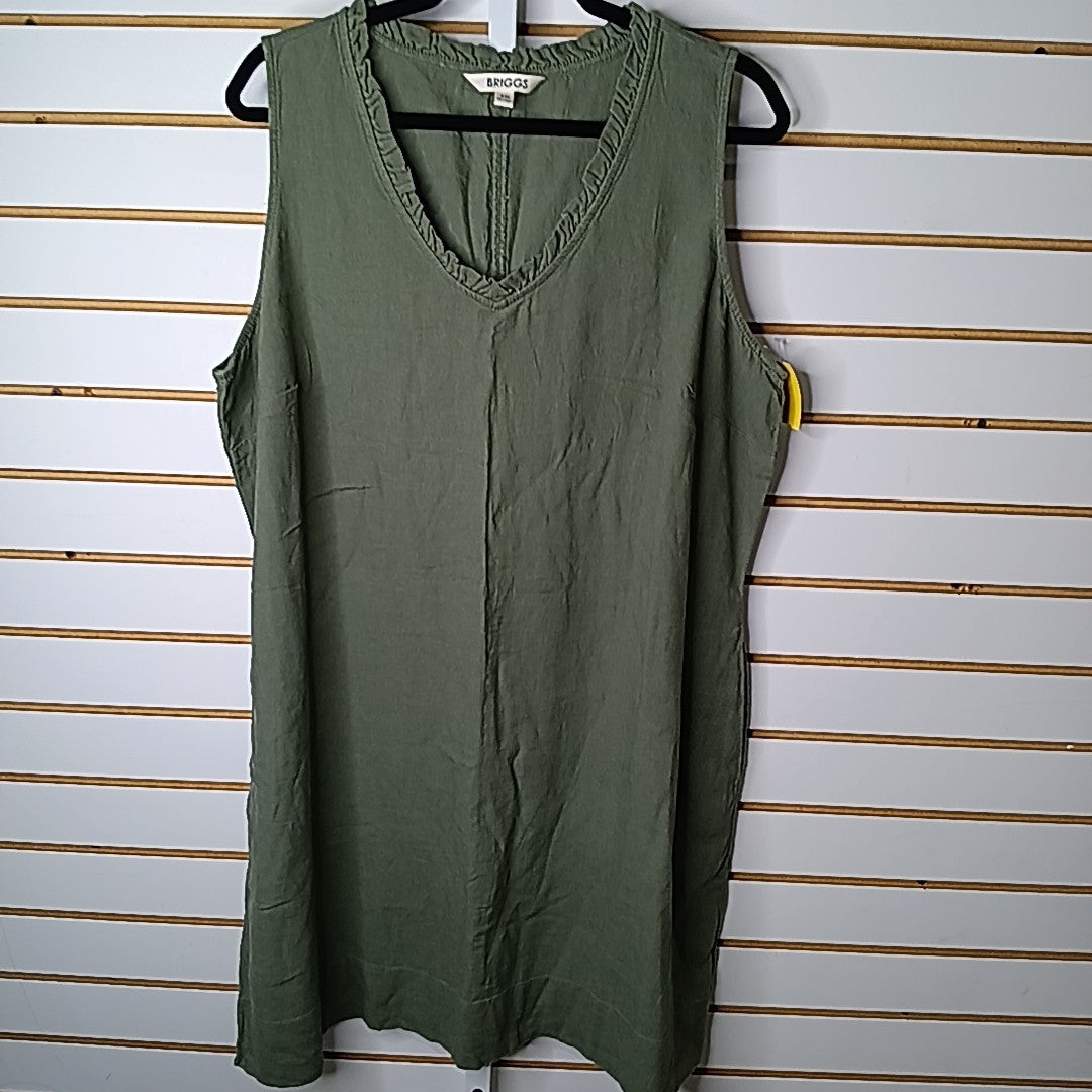 Briggs Size XXL Dress