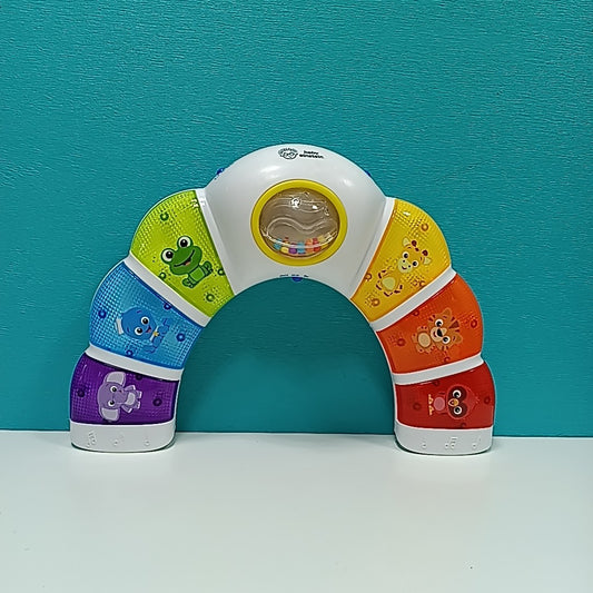 Baby Einstein Infant Toy