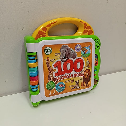 LeapFrog Electronic Toy