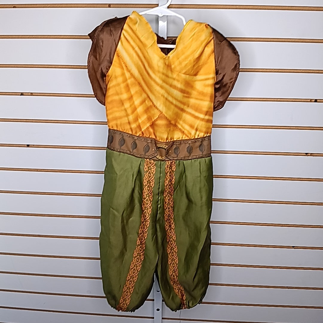 Disney 4-6 Costume