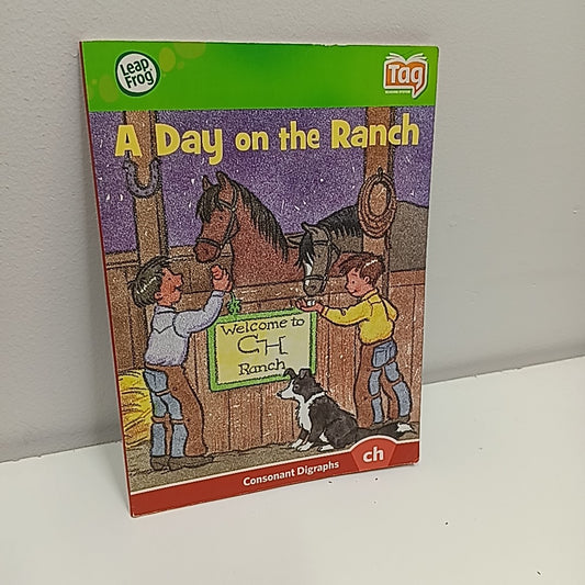 LeapFrog Electronic Toy