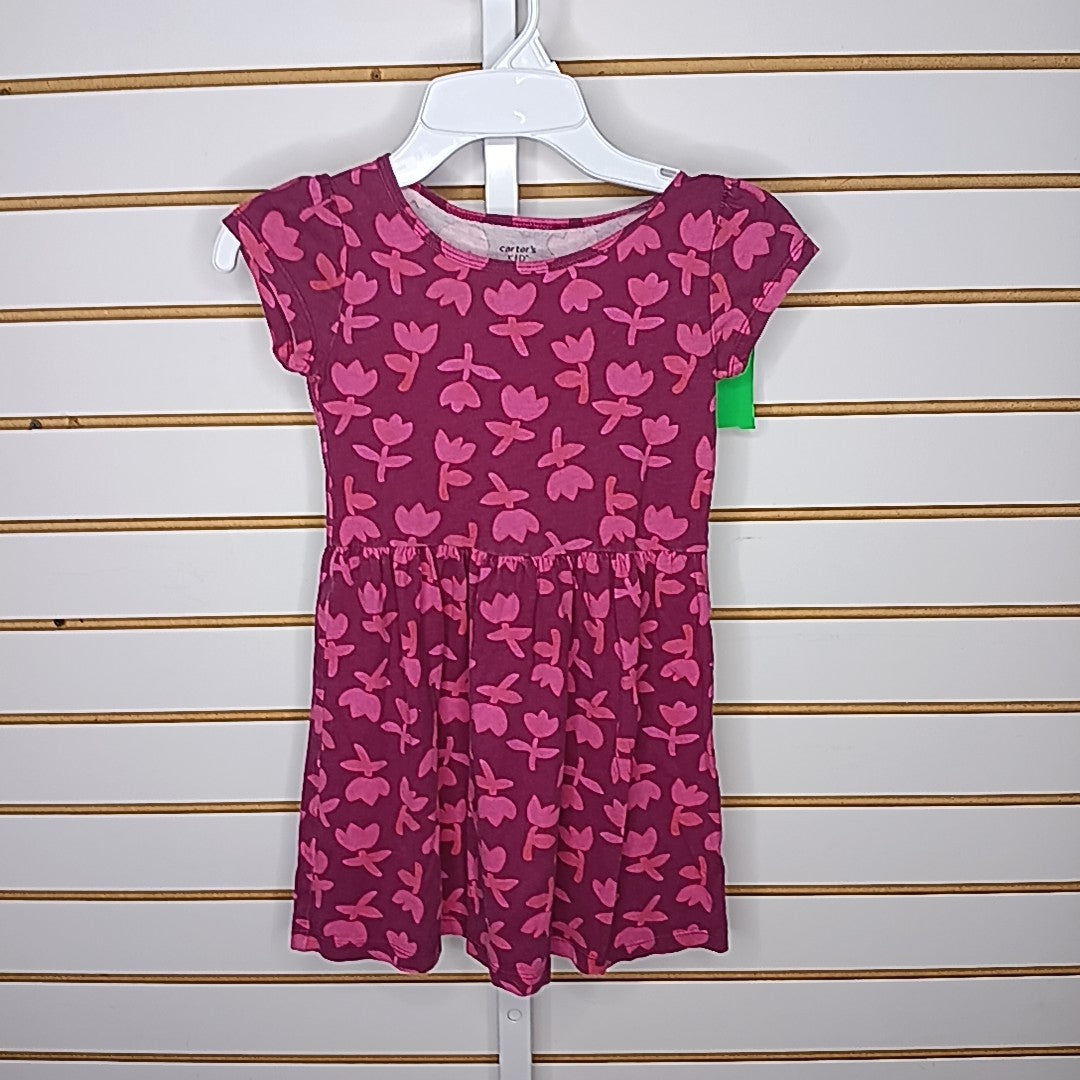 Carter's 5 Dress