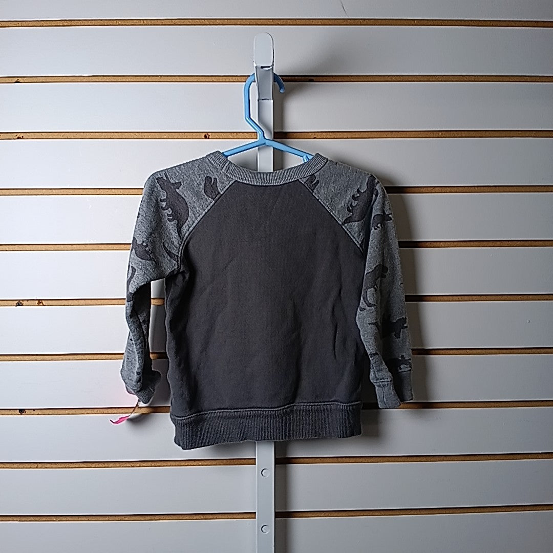 Carter's 2T Sweater/Sweatshirt