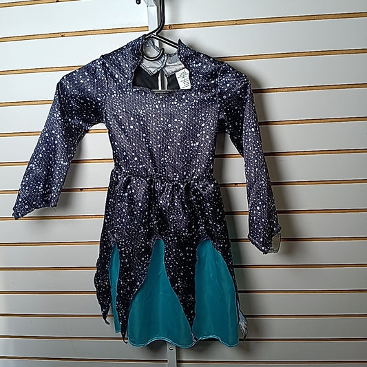 Disney 4-6 Costume