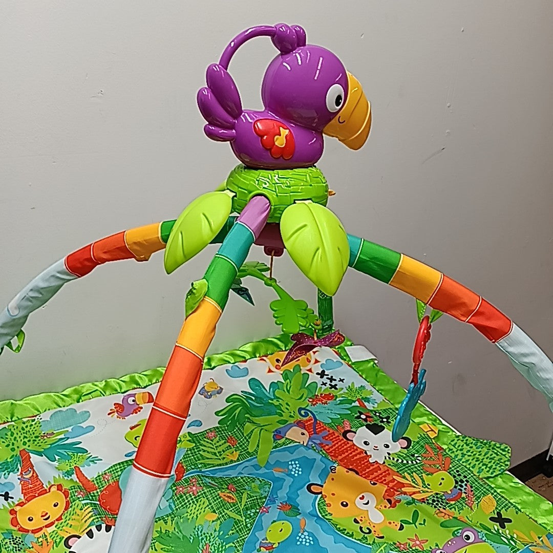 Fisher Price Infant Toy