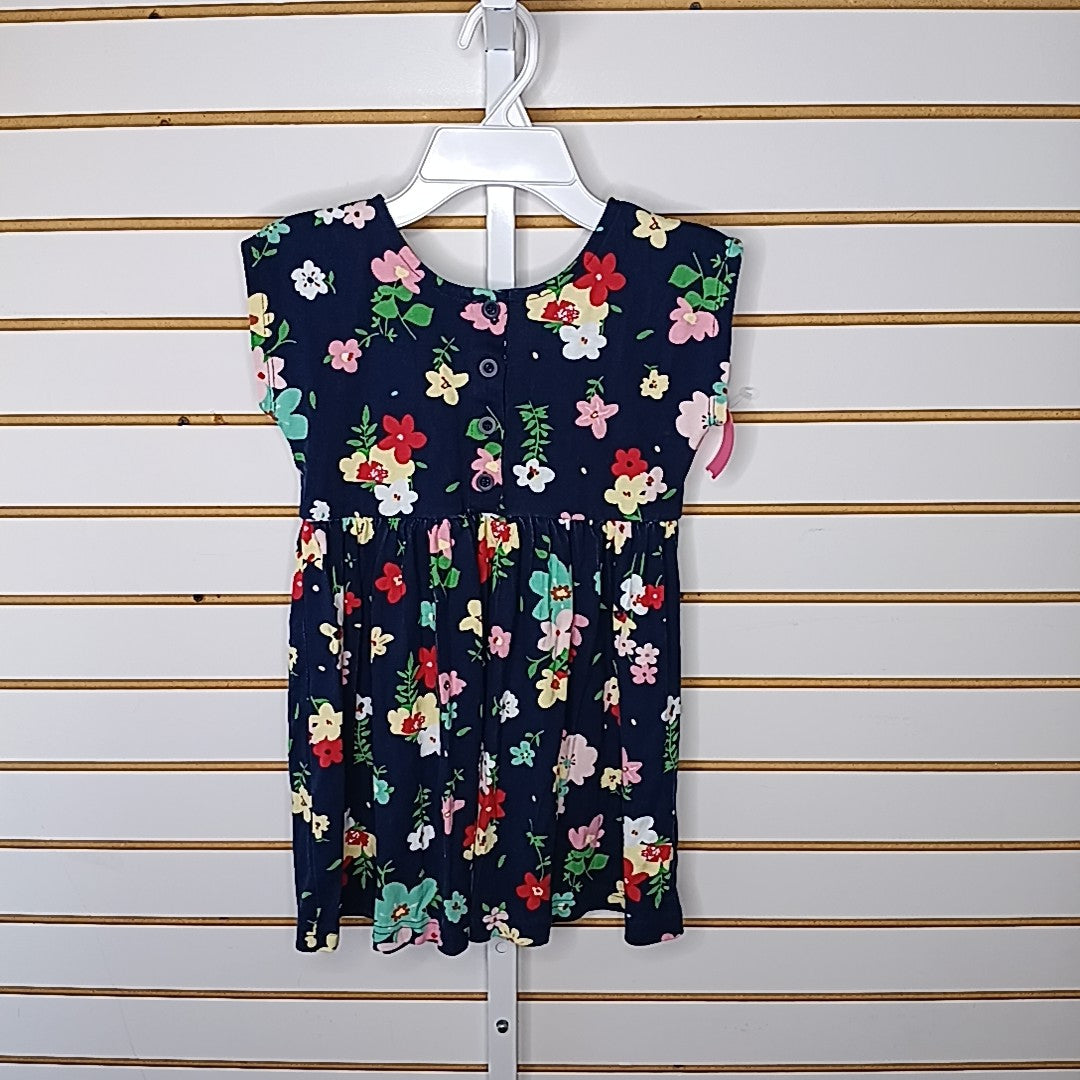 Hanna Andersson 5 Dress