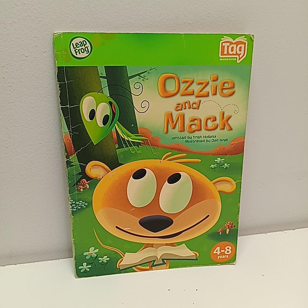 LeapFrog Electronic Toy