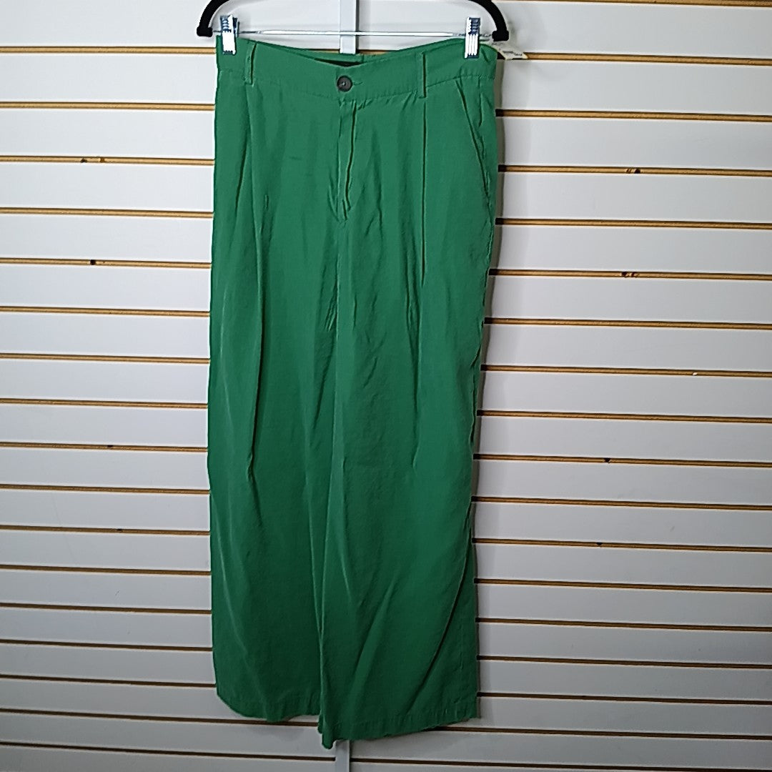 Zara Size M Pants