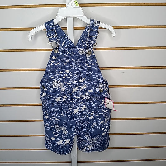 Carter's 24 Months Overalls
