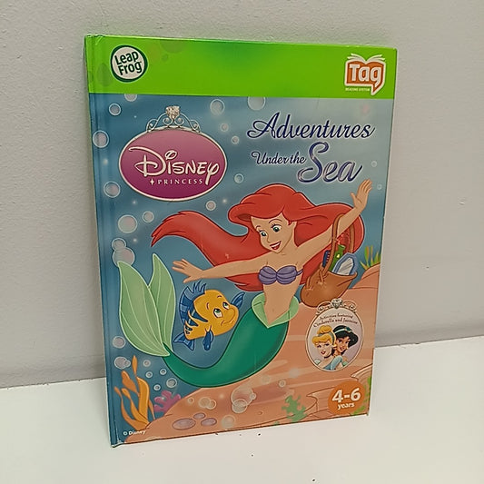 LeapFrog Electronic Toy