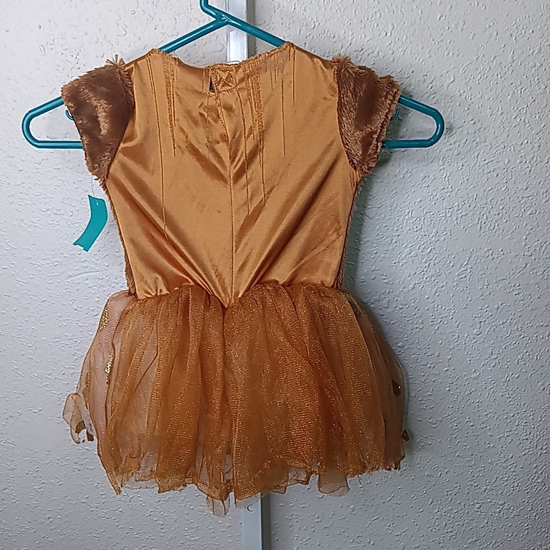2T Costume