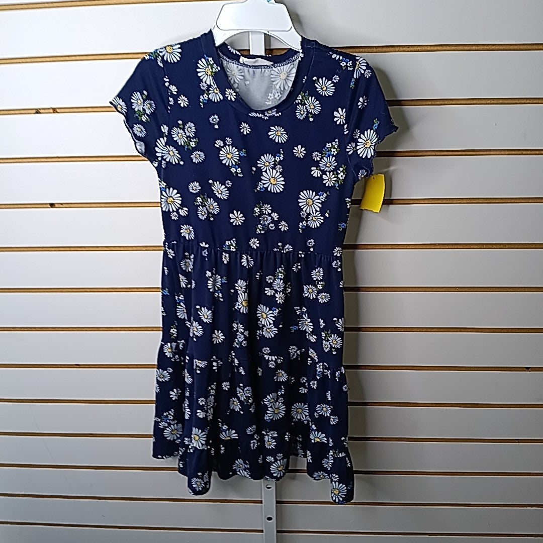KnitWorks 7/8 Dress