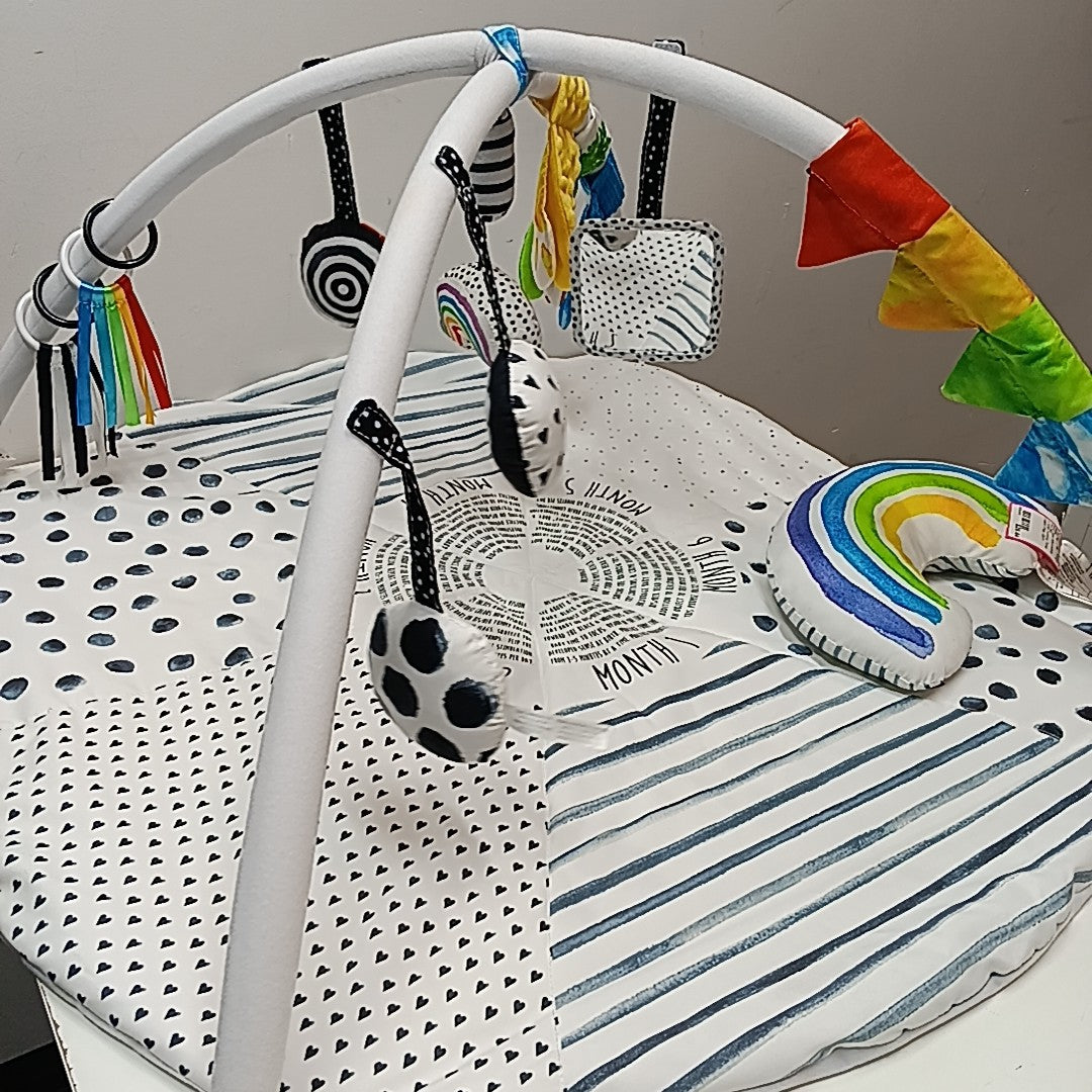Sassy Infant Toy