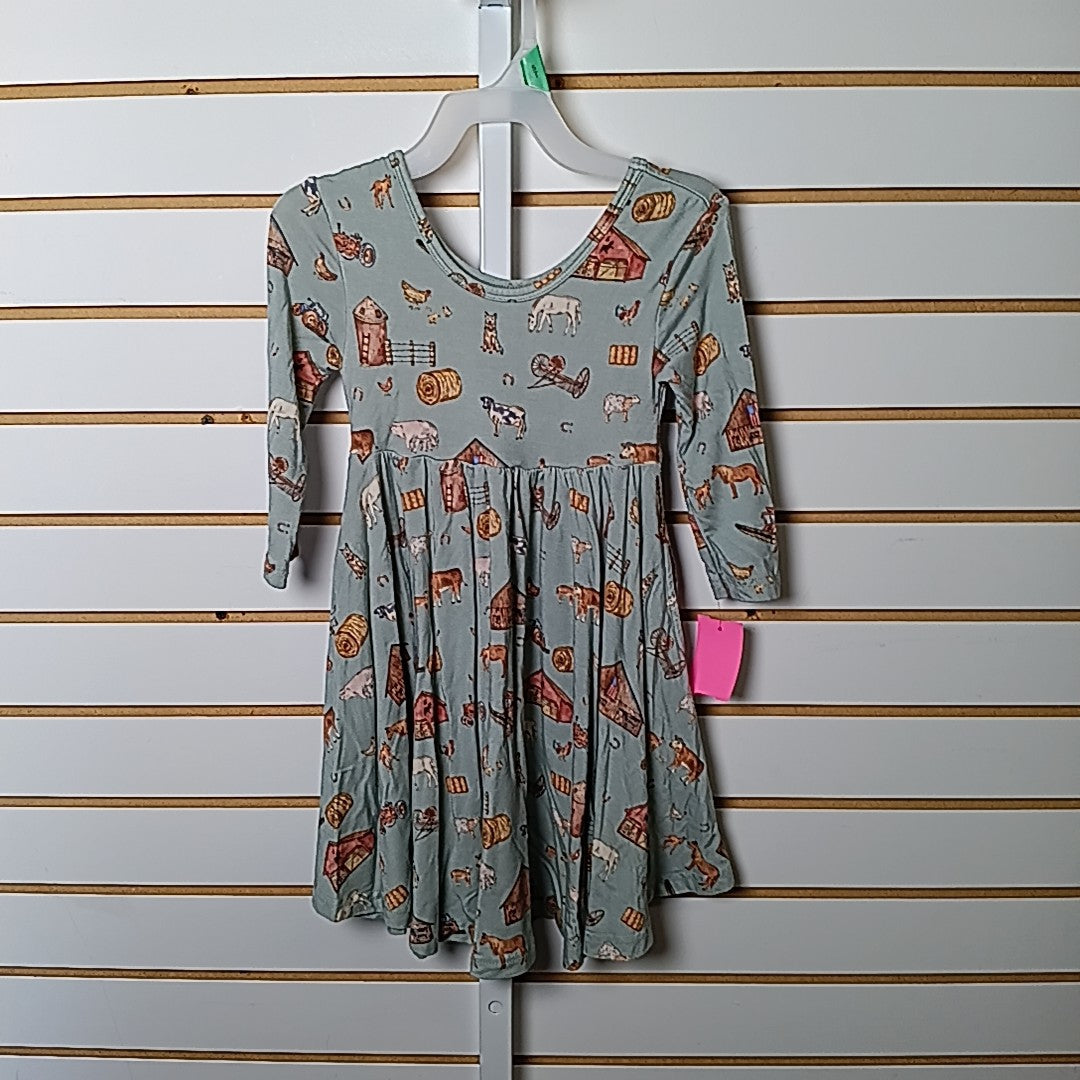 Little Crowns & Capes 4T Dress