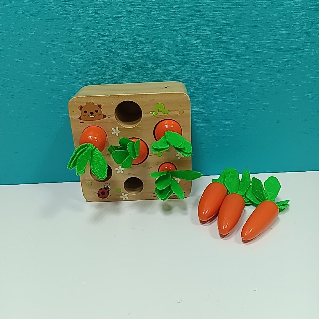 Wooden Toy