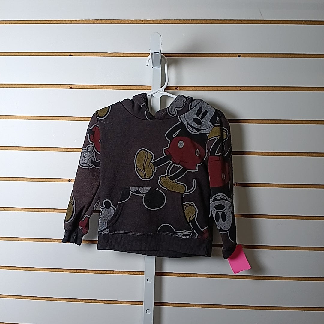 Disney Junior 2T Sweater/Sweatshirt