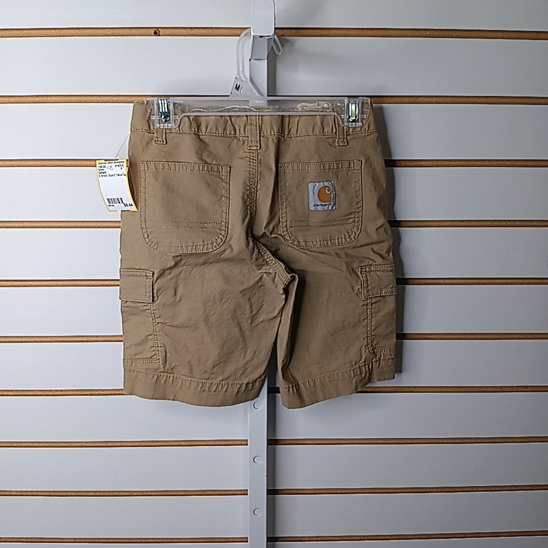 Carhartt 5 Shorts