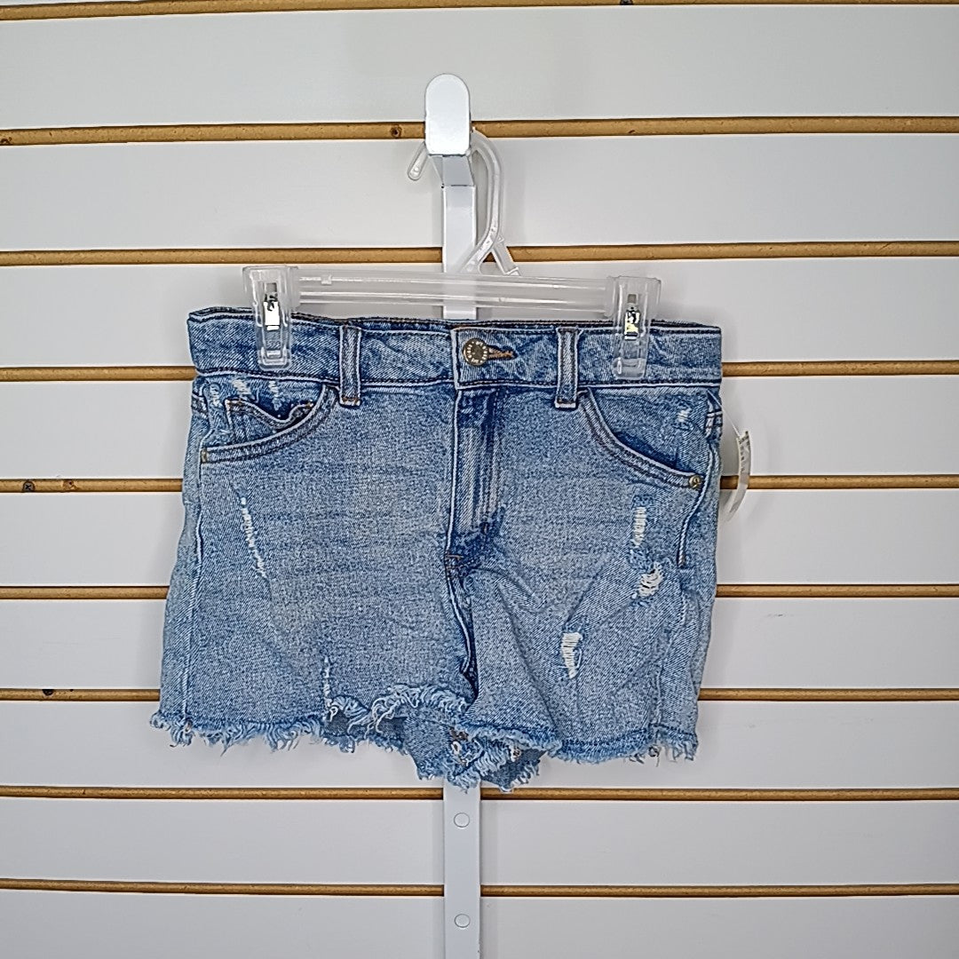 Art Class 10/12 Shorts