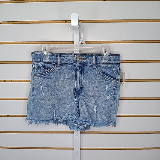 Art Class 10/12 Shorts