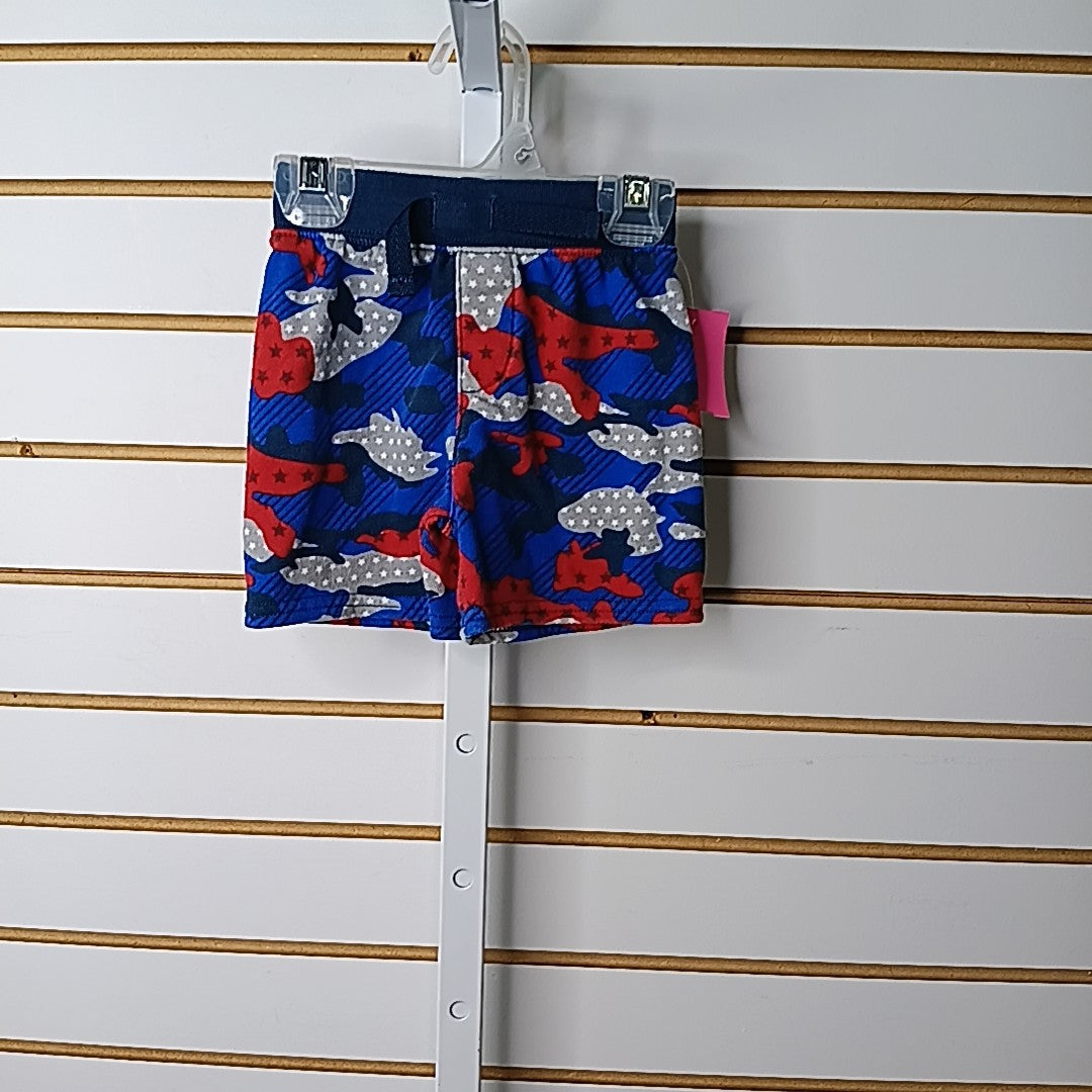 Celebrate 18 Months Shorts