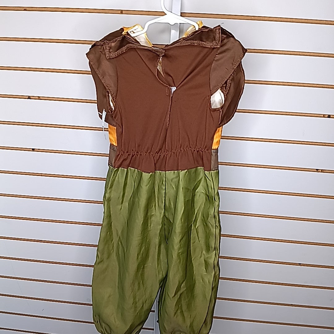 Disney 4-6 Costume