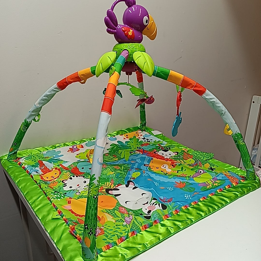Fisher Price Infant Toy