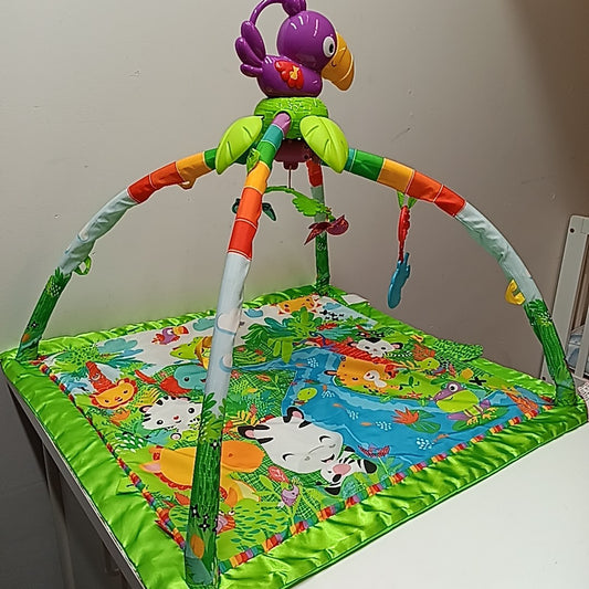 Fisher Price Infant Toy