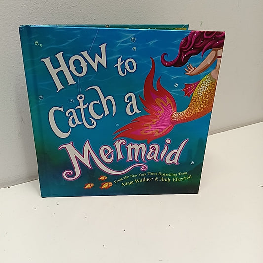 Board Book Books