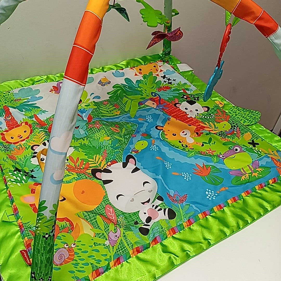 Fisher Price Infant Toy