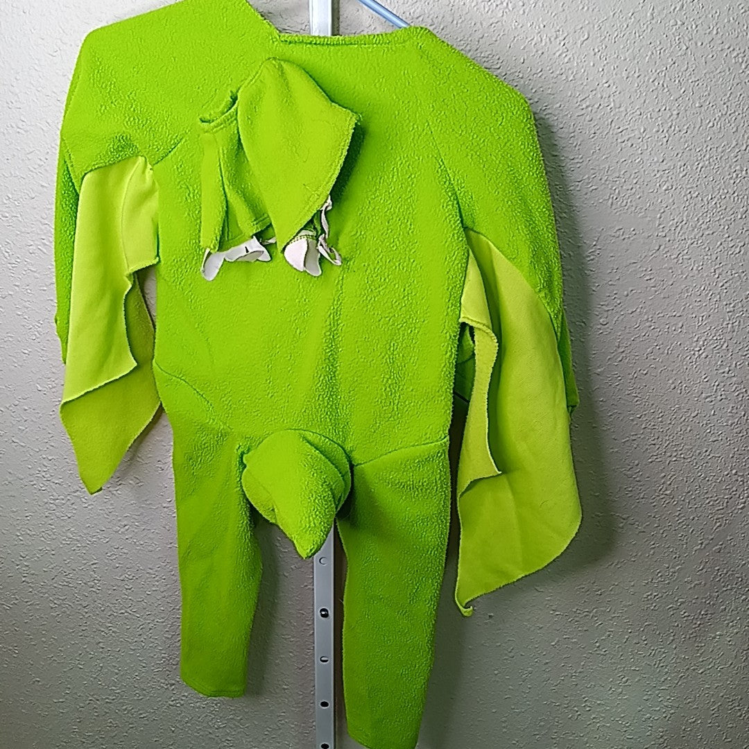 Dinosaur Train M Costume