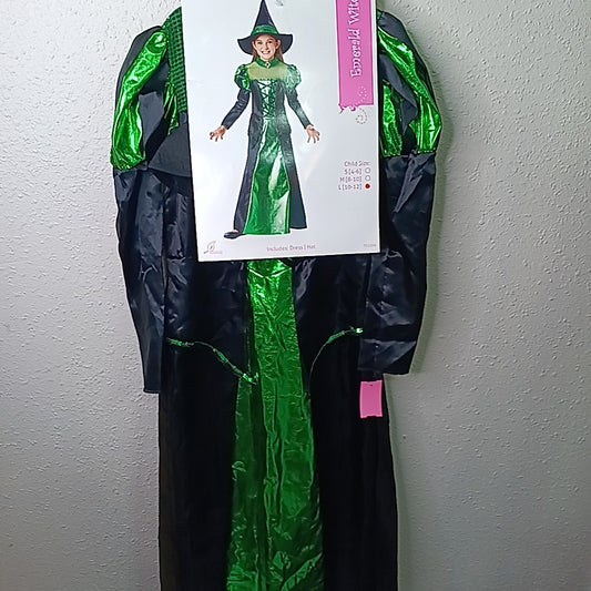 Seasons 10/12 Costume