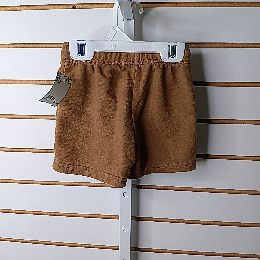 Cat & Jack 2T Shorts