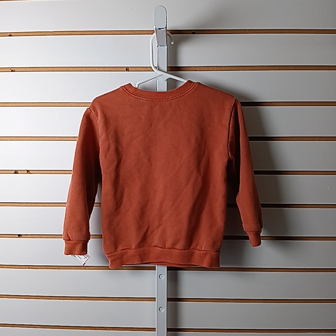 Garanimals 3T Sweater/Sweatshirt