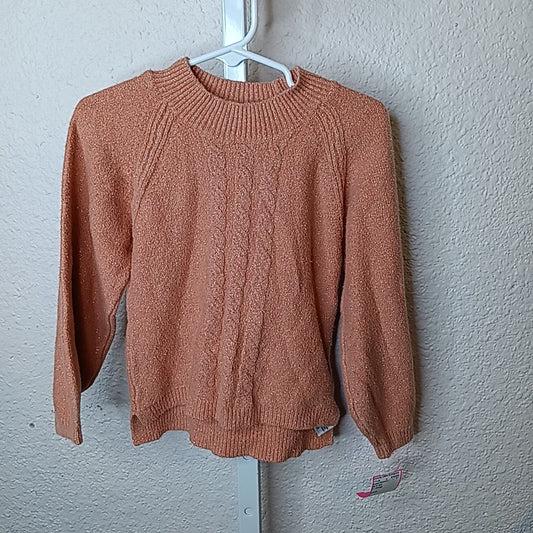 Cat & Jack 4T Sweater/Sweatshirt