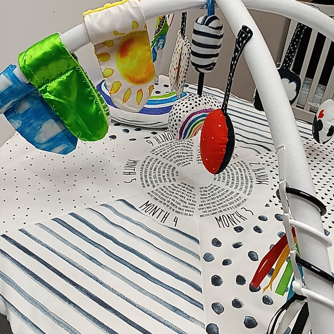 Sassy Infant Toy