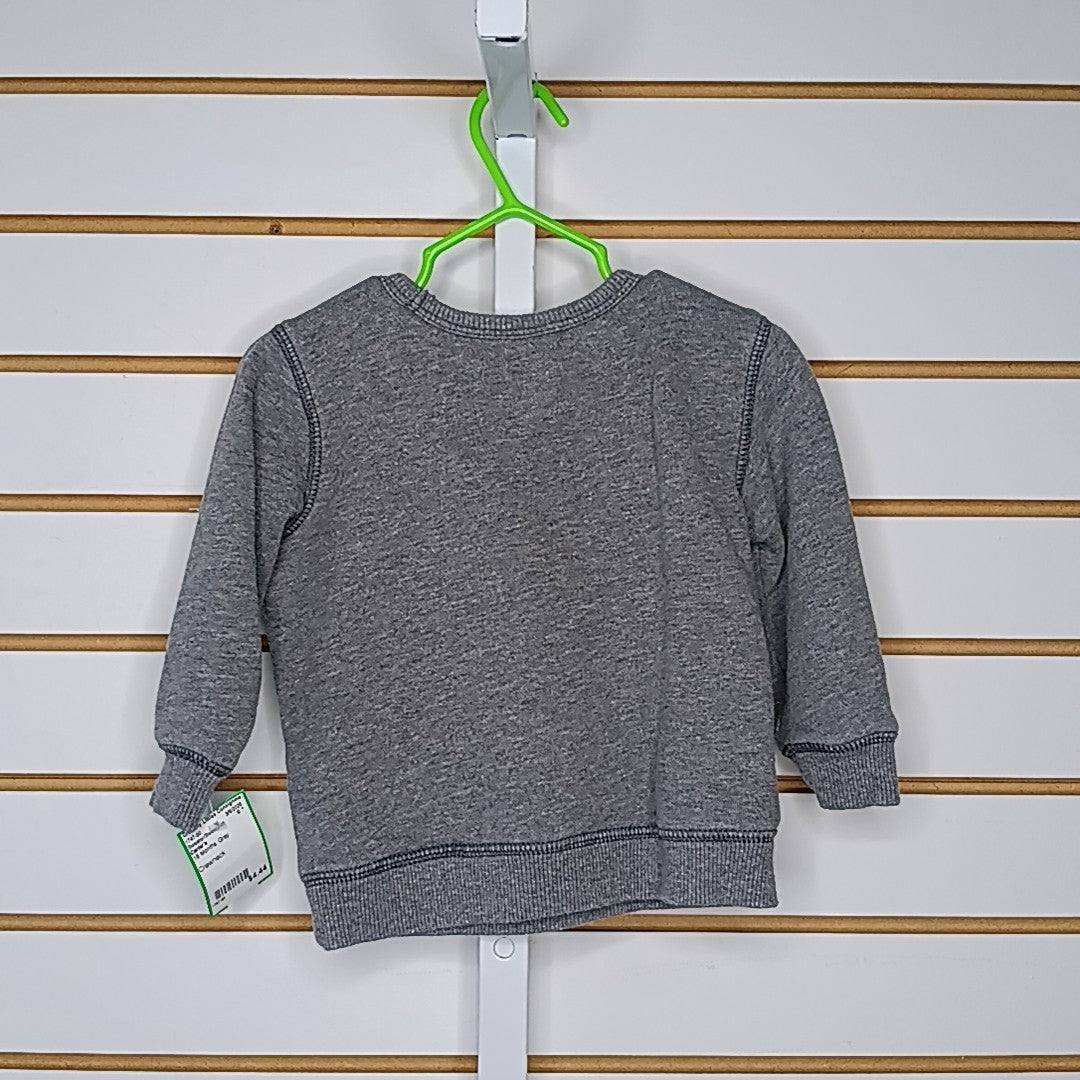 Carter's 18 Months Sweater/Sweatshirt