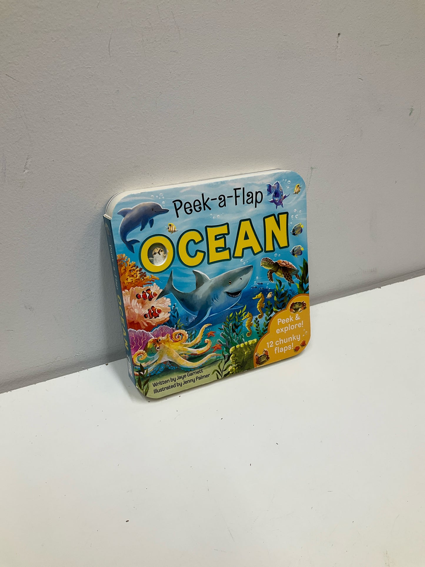 Board Book Books