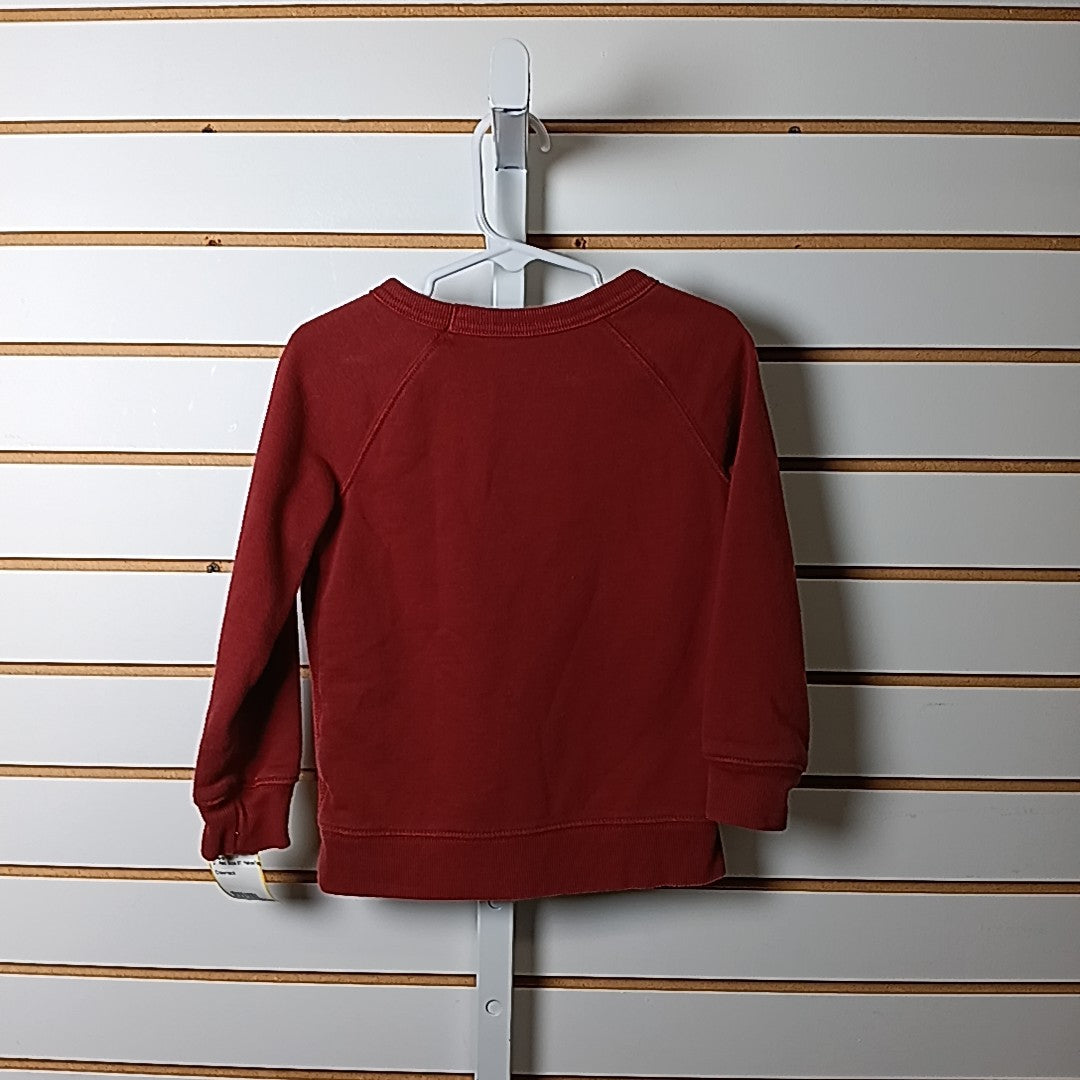 Carter's 3T Sweater/Sweatshirt