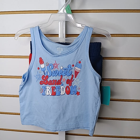 Celebrate 4/5 Outfit 2pc