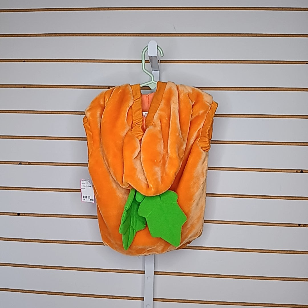 12-24 Months Costume