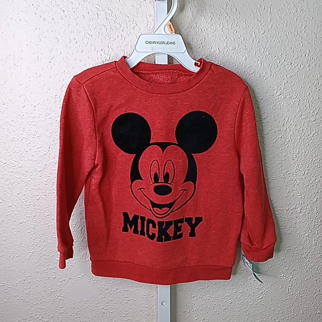 Mickey and the Roadster Racers 4 Sweater/Sweatshirt