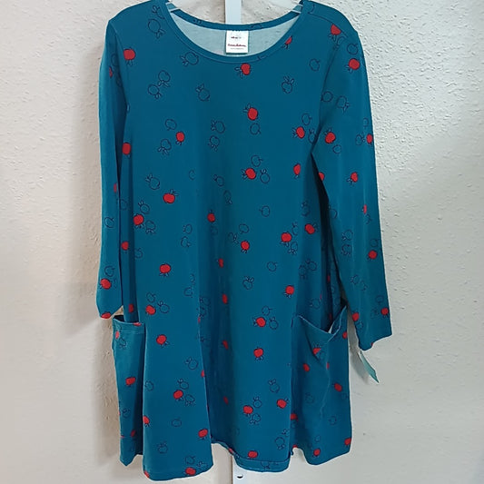 Hanna Andersson 10 Dress