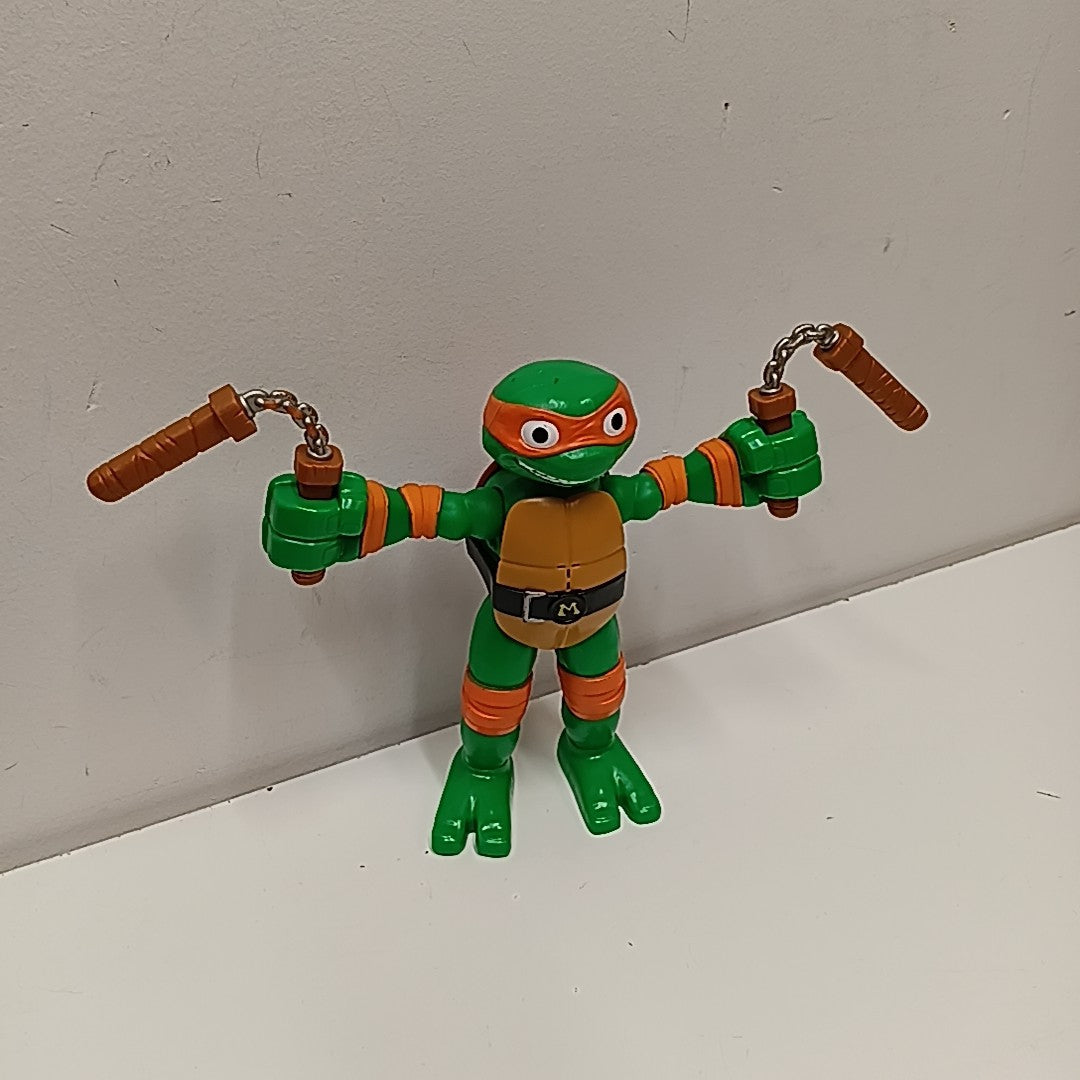 Teenage Mutant Ninja Turtles Action Figure