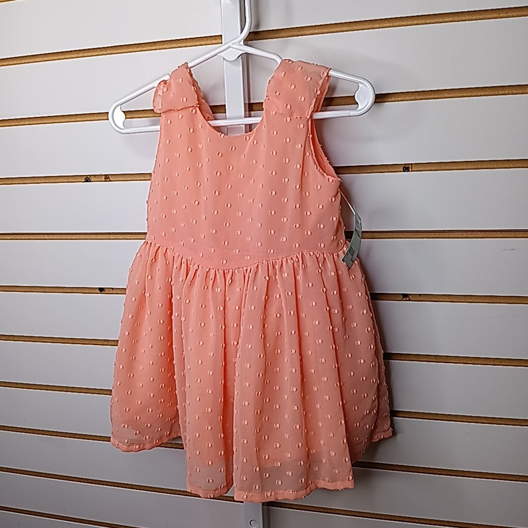 Child of Mine 18 Months Dress