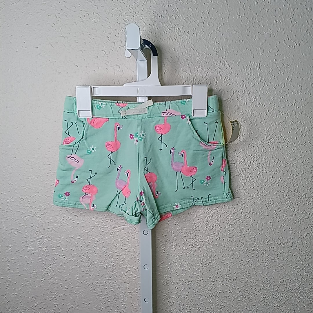 Carter's 7 Shorts