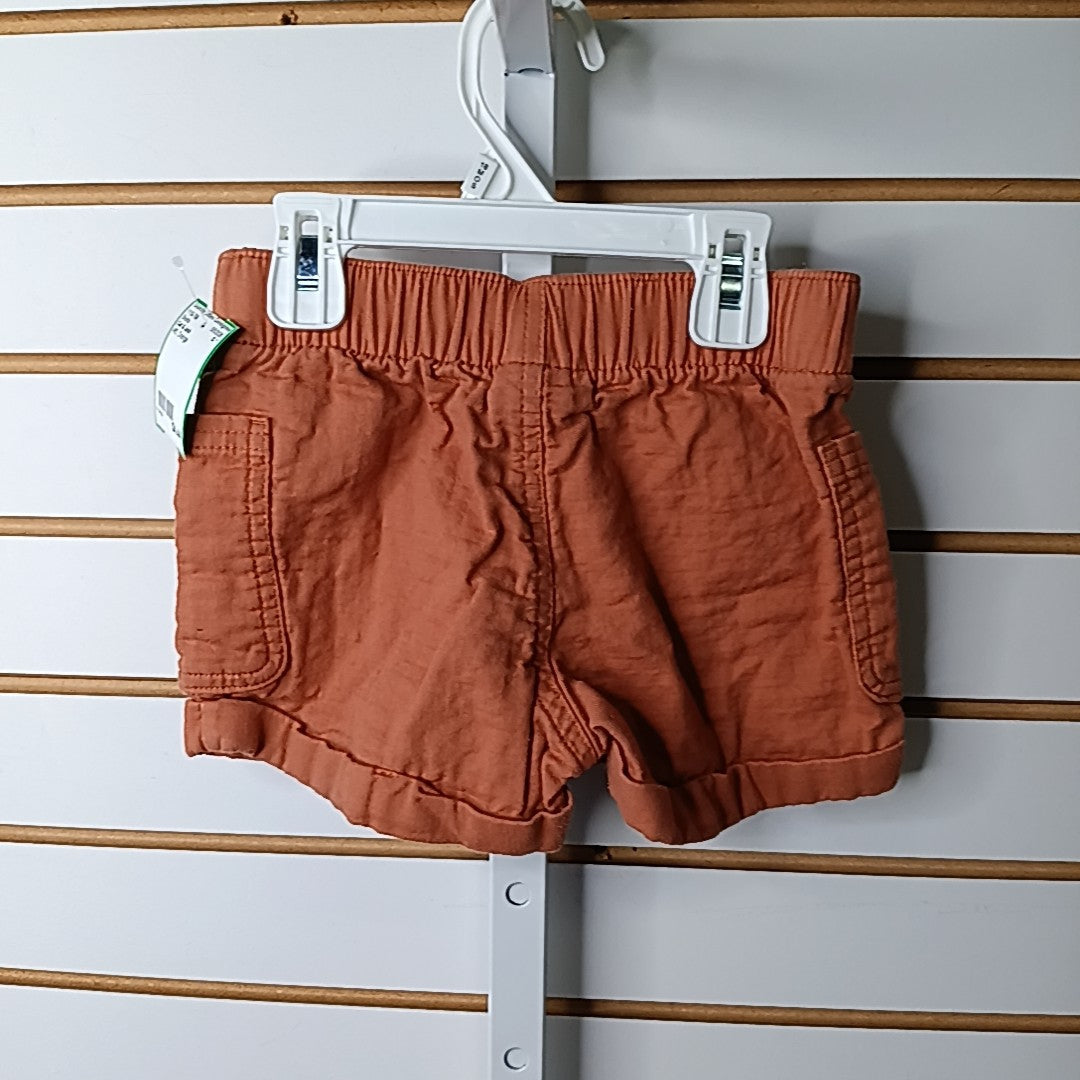 Cat & Jack 4/5 Shorts